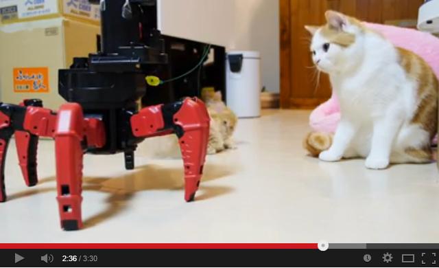 ６脚リモコンロボットと５匹の猫一家