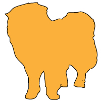 犬の嗅覚について